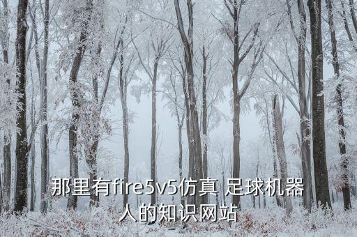 那里有fire5v5仿真 足球機(jī)器人的知識網(wǎng)站