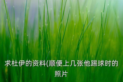 求杜伊的資料(順便上幾張他踢球時的照片