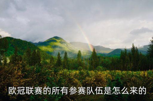  歐冠聯(lián)賽的所有參賽隊(duì)伍是怎么來(lái)的