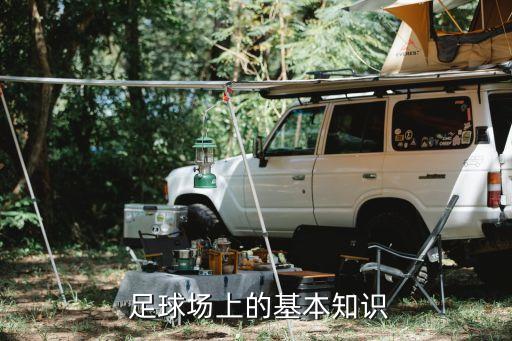  足球場上的基本知識