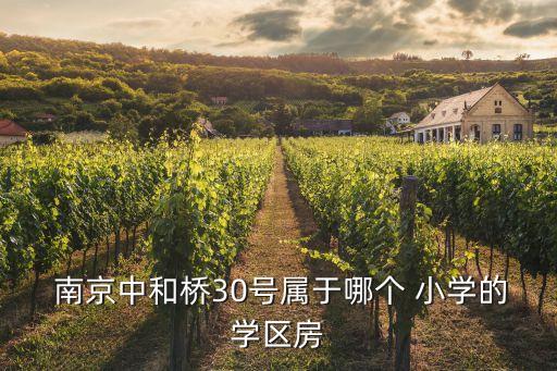 南京漢口路小學(xué)足球