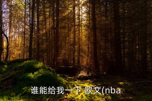 誰能給我一下 歐文(nba