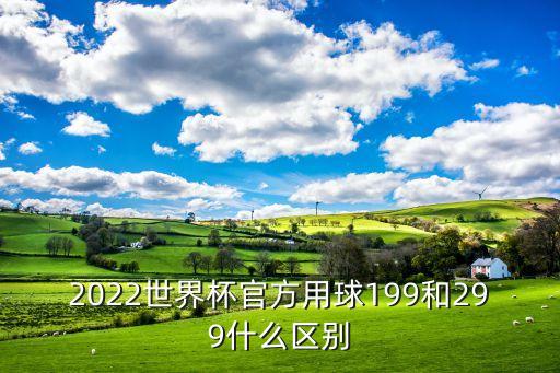 2022世界杯官方用球199和299什么區(qū)別