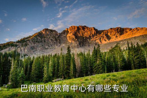  巴南職業(yè)教育中心有哪些專業(yè)