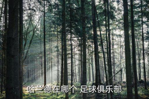 哈蘭德在哪個(gè) 足球俱樂(lè)部