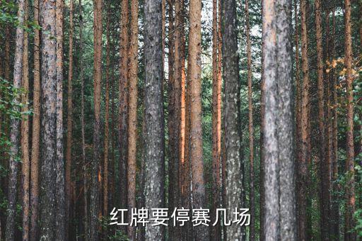 中國(guó)足球協(xié)會(huì)紀(jì)律