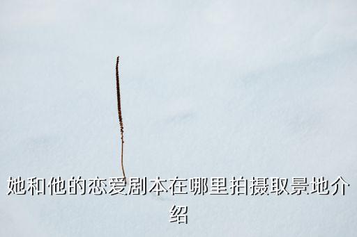 她和他的戀愛劇本在哪里拍攝取景地介紹