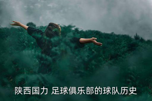 陜西國力 足球俱樂部的球隊歷史