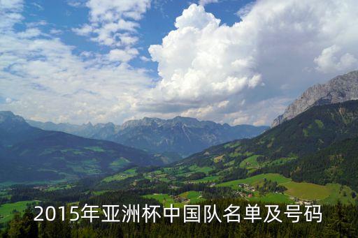 2015年亞洲杯中國隊名單及號碼
