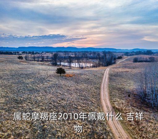 屬蛇摩羯座2010年佩戴什么 吉祥物