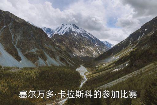 塞爾萬(wàn)多·卡拉斯科的參加比賽