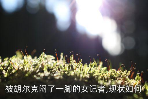 被胡爾克悶了一腳的女記者,現(xiàn)狀如何