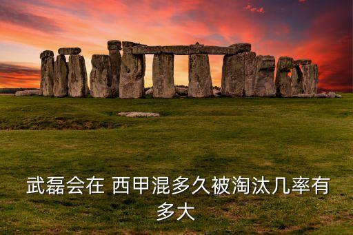 武磊會(huì)在 西甲混多久被淘汰幾率有多大