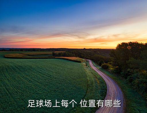 足球場上每個 位置有哪些