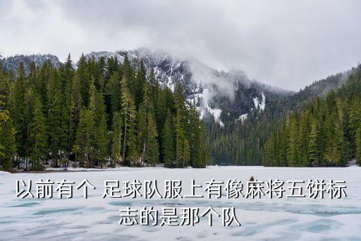 以前有個(gè) 足球隊(duì)服上有像麻將五餅標(biāo)志的是那個(gè)隊(duì)