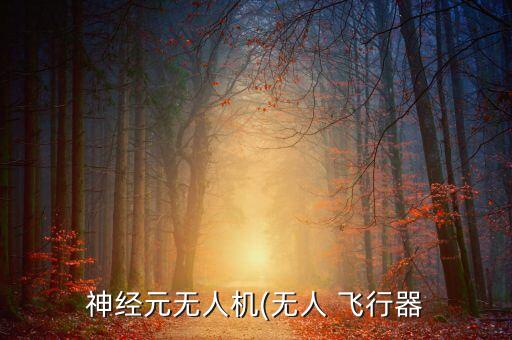 神經(jīng)元無(wú)人機(jī)(無(wú)人 飛行器
