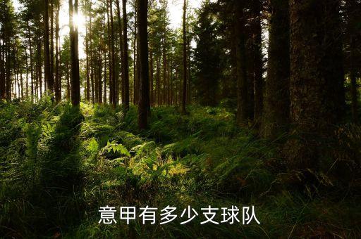 意大利 足球 乙級(jí)
