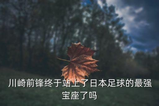 川崎前峰足球隊照片