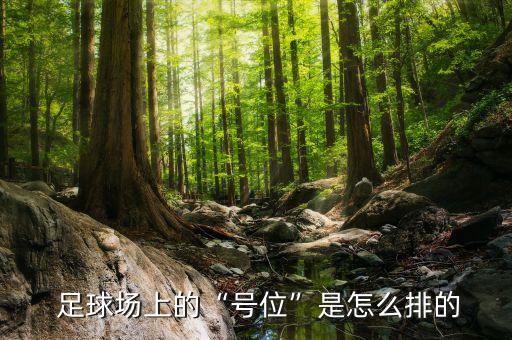  足球場(chǎng)上的“號(hào)位”是怎么排的