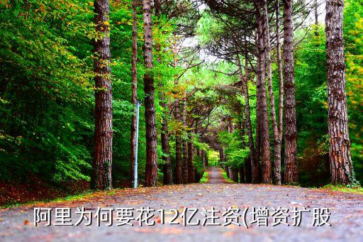阿里為何要花12億注資(增資擴(kuò)股