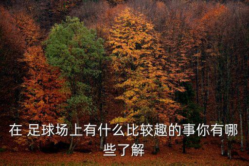 足球比賽的專題報道