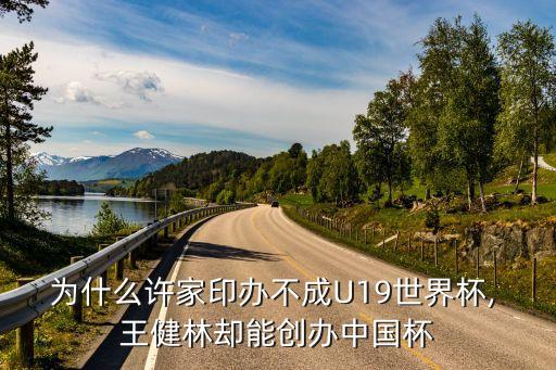 為什么許家印辦不成U19世界杯, 王健林卻能創(chuàng)辦中國(guó)杯