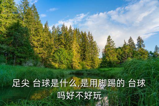 足尖 臺(tái)球是什么,是用腳踢的 臺(tái)球嗎好不好玩