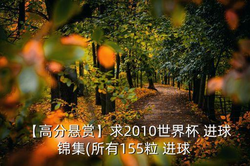 【高分懸賞】求2010世界杯 進(jìn)球錦集(所有155粒 進(jìn)球