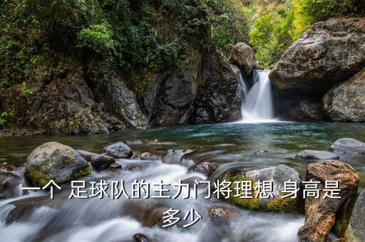 一個(gè) 足球隊(duì)的主力門(mén)將理想 身高是多少