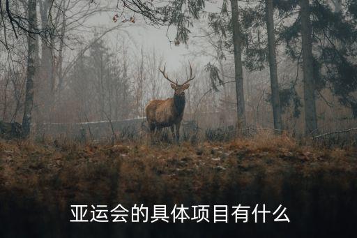  亞運(yùn)會(huì)的具體項(xiàng)目有什么