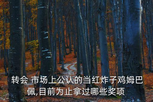  轉(zhuǎn)會(huì) 市場上公認(rèn)的當(dāng)紅炸子雞姆巴佩,目前為止拿過哪些獎(jiǎng)項(xiàng)