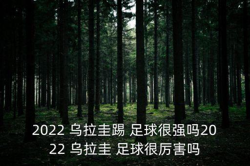 2022 烏拉圭踢 足球很強嗎2022 烏拉圭 足球很厲害嗎