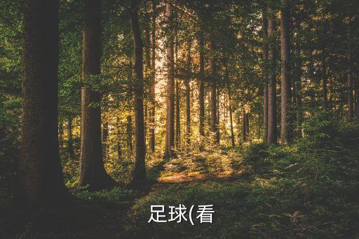 1963年12月26日足球