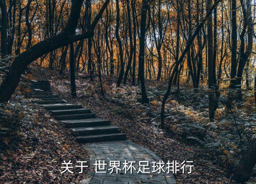 關(guān)于 世界杯足球排行