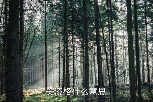 美凌格什么意思