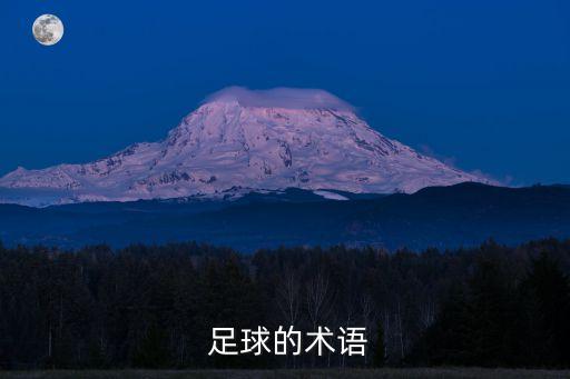  足球的術(shù)語
