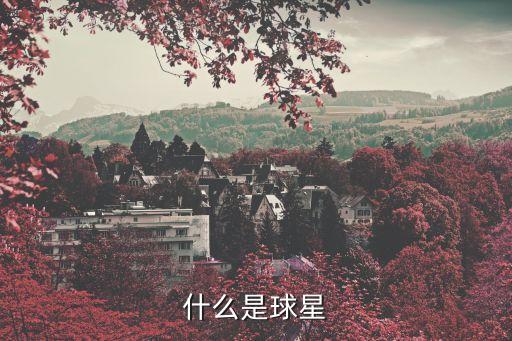 足球大師羅馬里奧,羅馬里奧是哪個(gè)國(guó)家的足球運(yùn)動(dòng)員