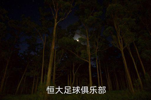 中國恒大足球隊(duì)2017,廣州恒大足球隊(duì)現(xiàn)狀