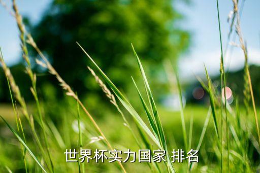 世界杯實(shí)力國家 排名