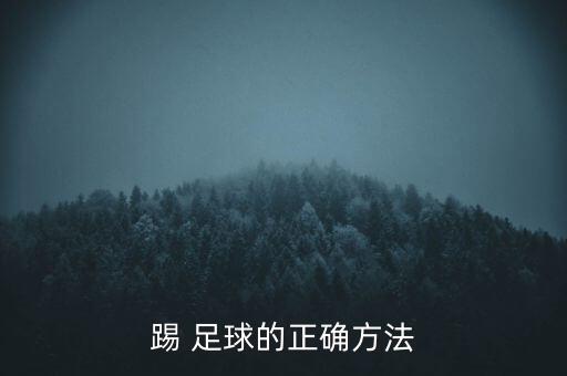 踢 足球的正確方法
