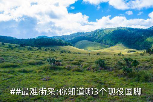 ##最難街采:你知道哪3個現(xiàn)役國腳