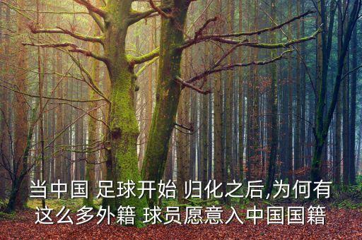 什么是歸化球員中國足球,中國足球歸化球員最新消息