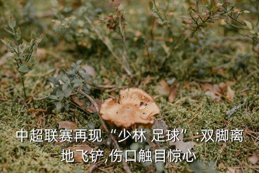 中超聯(lián)賽再現(xiàn)“少林 足球”:雙腳離地飛鏟,傷口觸目驚心