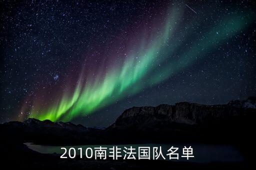 2010南非法國(guó)隊(duì)名單