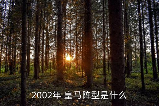 2002年 皇馬陣型是什么