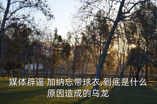 媒體辟謠 加納忘帶球衣,到底是什么原因造成的烏龍