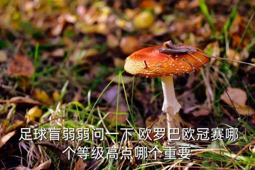 足球盲弱弱問一下 歐羅巴歐冠賽哪個等級高點(diǎn)哪個重要