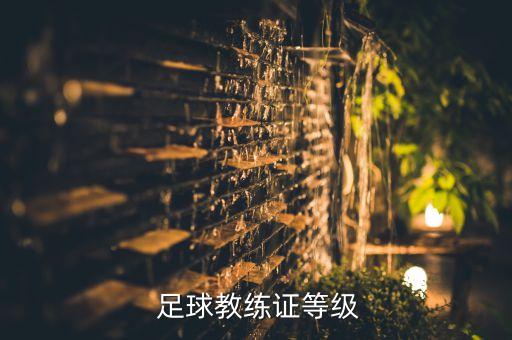 中國足球協(xié)會d級教練員怎么查