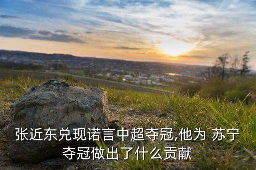 蘇寧足球歷任教練,中國隊(duì)足球歷任教練
