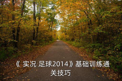 《 實(shí)況 足球2014》基礎(chǔ)訓(xùn)練通關(guān)技巧